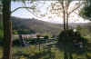 n36.jpg (111275 byte)
